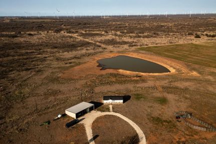 Timberland Property for sale in Young County, Texas