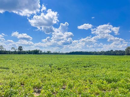 Recreational Property for sale in Marlboro County, South Carolina