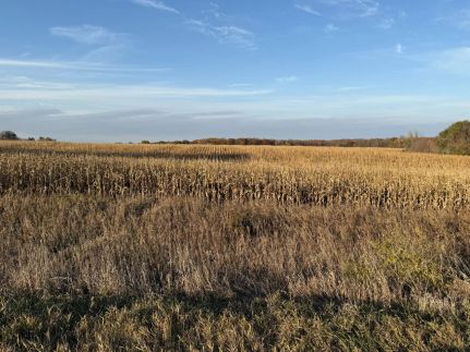 Farm and Ranch for sale in Olmsted County, Minnesota