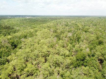 Farm and Ranch for sale in Newton County, Texas