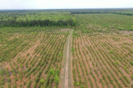 Timberland Property for sale in Bowie County, Texas