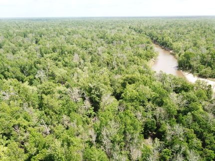 Land for sale in Newton County, Texas