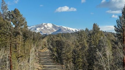Timberland Property for sale in Park County, Colorado