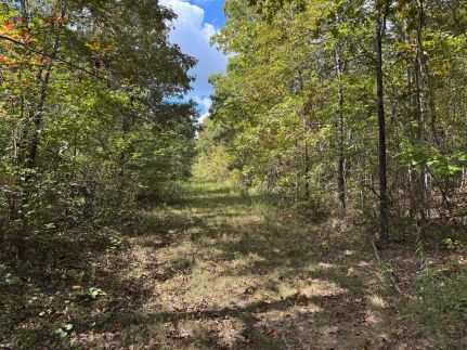 Recreational Property for sale in Van Buren County, Arkansas