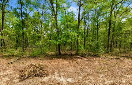 Undeveloped Land for sale in Putnam County, Florida