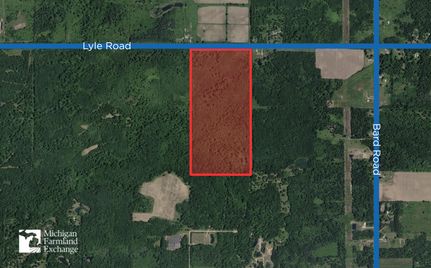 Land for sale in Gladwin County, Michigan