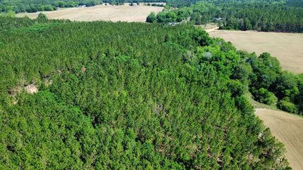 Lakefront Property for sale in Ben Hill County, Georgia