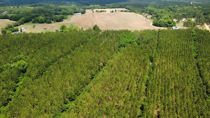 Undeveloped Land for sale in Ben Hill County, Georgia