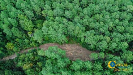 Timberland Property for sale in Chester County, Tennessee