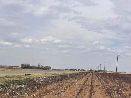 Undeveloped Land for sale in Lynn County, Texas