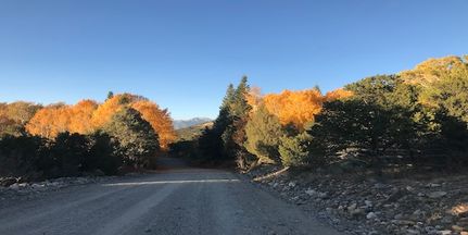 Undeveloped Land for sale in Alamosa County, Colorado