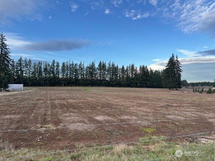 Land for sale in Lewis County, Washington