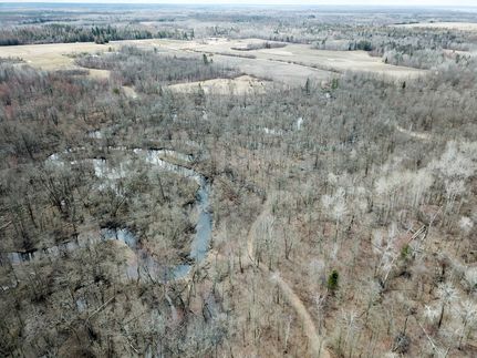 Timberland Property for sale in Beltrami County, Minnesota