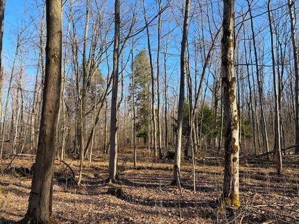 Hunting Property for sale in Erie County, New York