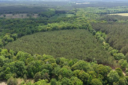 Land for sale in Dodge County, Georgia