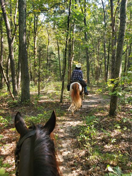 Timberland Property for sale in Hardin County, Illinois