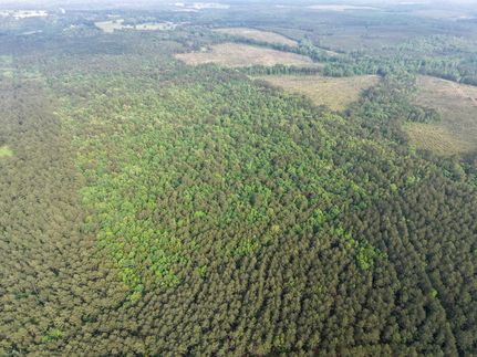 Land for sale in Cass County, Texas