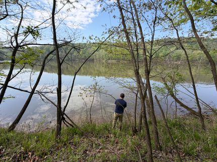 Undeveloped Land for sale in Pope County, Illinois