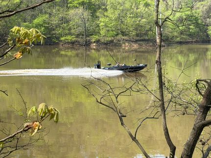 Undeveloped Land for sale in Pope County, Illinois