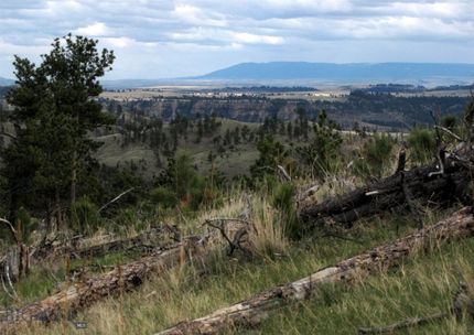 Farm and Ranch for sale in Stillwater County, Montana