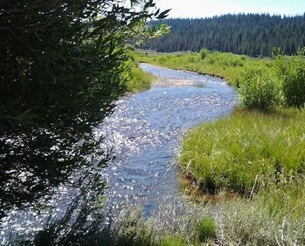 Recreational Property for sale in Albany County, Wyoming