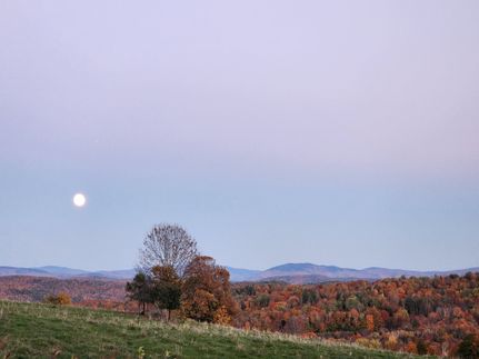 Land for sale in Orange County, Vermont