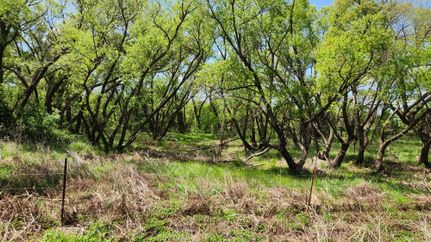Land for sale in Harper County, Kansas
