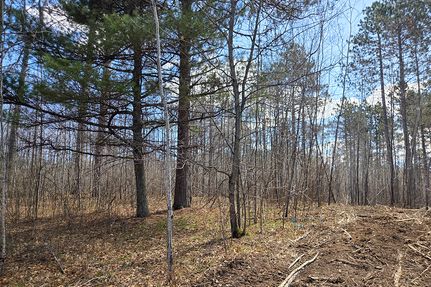 Commercial Property for sale in Oneida County, Wisconsin