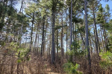 Land for sale in Oneida County, Wisconsin
