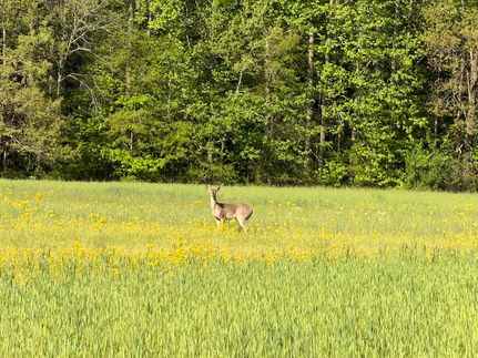 Recreational Property for sale in Crawford County, Illinois