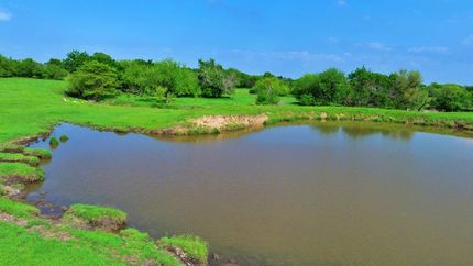 Timberland Property for sale in Cooke County, Texas