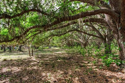 Land for sale in Hillsborough County, Florida