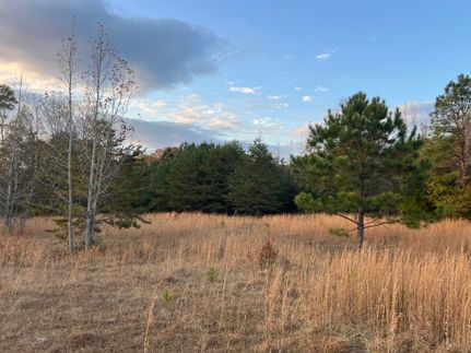 Land for sale in Talladega County, Alabama