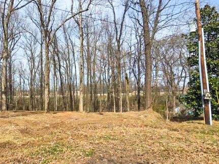 Timberland Property for sale in Tipton County, Tennessee