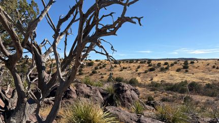 Farm and Ranch for sale in Brewster County, Texas