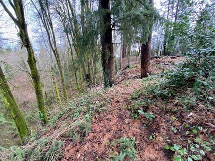 Farm and Ranch for sale in Thurston County, Washington