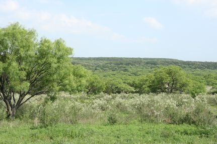 Timberland Property for sale in San Saba County, Texas