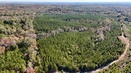 Land for sale in Barbour County, Alabama