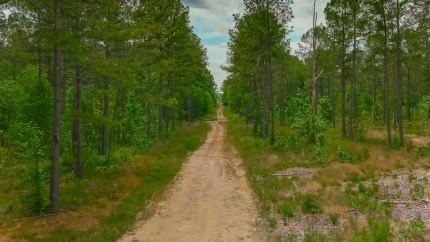 Farm and Ranch for sale in Horry County, South Carolina