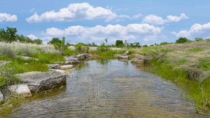 Timberland Property for sale in Blanco County, Texas