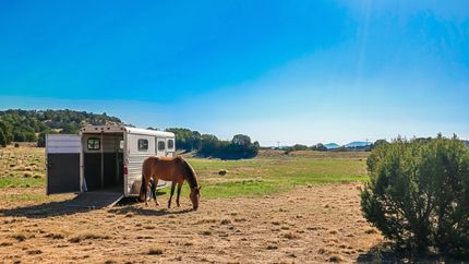 Farm and Ranch in Apache County, Arizona