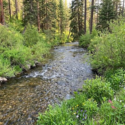 Recreational Property for sale in Boise County, Idaho