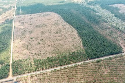 Timberland Property for sale in Calhoun County, Arkansas