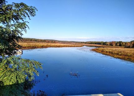 Timberland Property for sale in Worcester County, Massachusetts