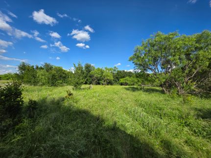 Farm and Ranch for sale in Brown County, Texas