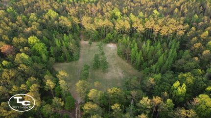 Farm and Ranch for sale in Sumter County, Alabama