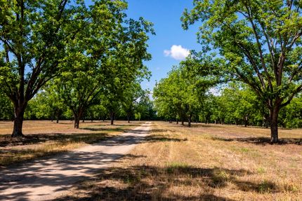 Timberland Property for sale in Candler County, Georgia