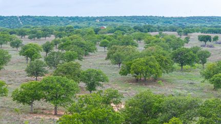Land for sale in Taylor County, Texas