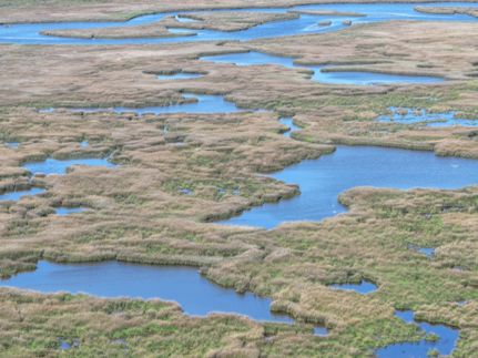 Undeveloped Land for sale in Brazoria County, Texas