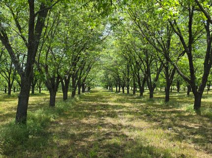 Commercial Property for sale in Comanche County, Texas